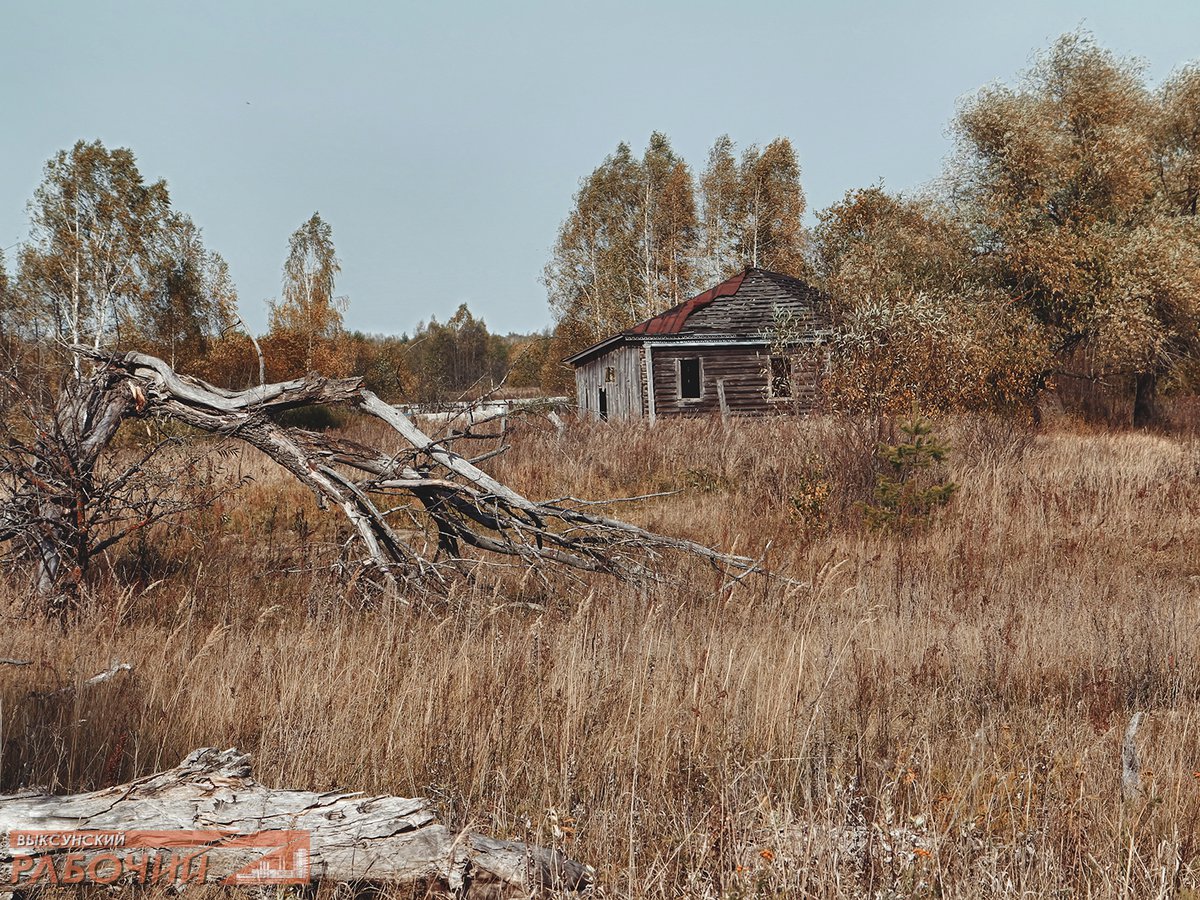 Дальняя, заброшенная ::Выксунский рабочий