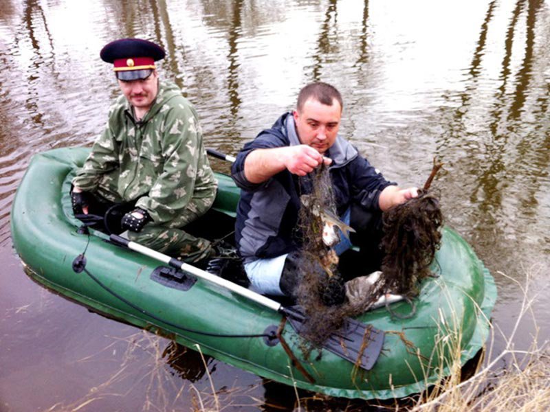 любительская рыбалка во время нереста любительская рыбалка во время нереста