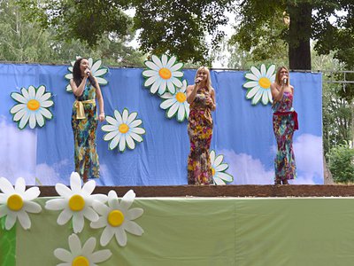 Парад семей и праздничный концерт, приуроченный к празднованию Дня семьи, любви и верности, прошёл в парке 8 июля (Выкса, 2018 г.)