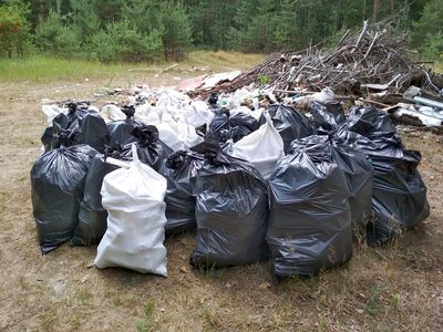 сотрудники ВМЗ и волонтёры собрали мусор в лесном массиве и на берегу реки возле села Нижняя Верея (Выкса, 2018 г.)