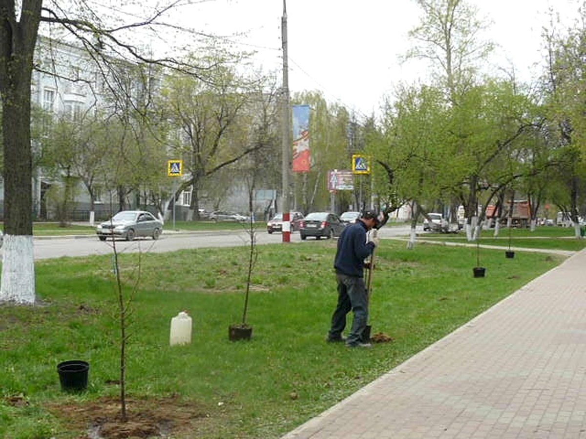 Выгодно ли РУБить дерево? ::Выксунский рабочий