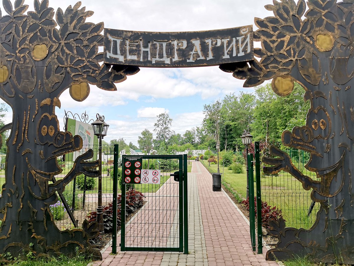 парк роз строитель белгородская область