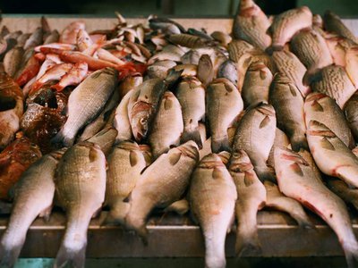 то и как контролирует реализацию свежей рыбы в нерестовый период на рынках и в точках розничной торговли Нижегородской области?