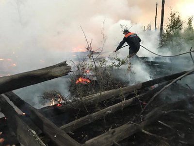 МЧС тушит лесной пожар в мордовском заповеднике (2021 г.)