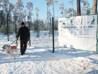 Сегодня в парке открыли площадку для выгула собак