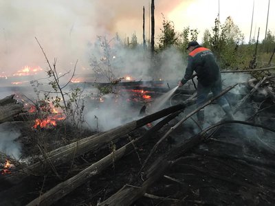 МЧС тушит лесной пожар в мордовском заповеднике (2021 г.)