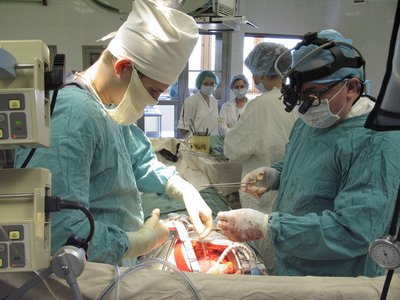 Трансплантация органов и тканей человека