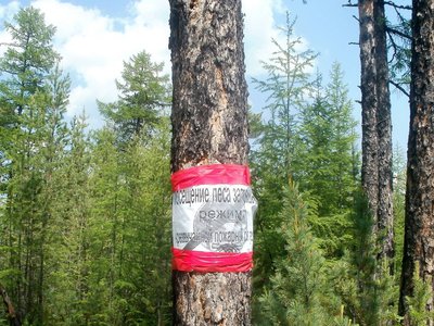 Будет ли запрещено посещение лесов в период майских праздников в связи с наступлением пожароопасного сезона?