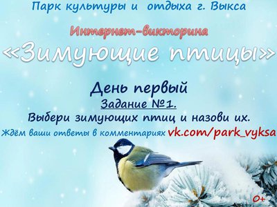 Парк приглашает выксунцев поучаствовать в викторине «Зимующие птицы»
