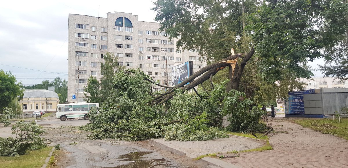 Ураган в Выксе 8 июля. Упавшее дерево на улице Красные зори (2020 г.)