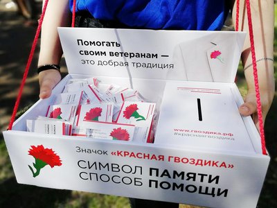 В Нижегородской области пройдёт всероссийская акция «Красная гвоздика»