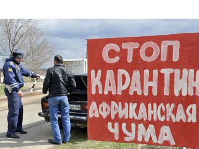 «Чумовое» настроение угрожает Нижегородской области