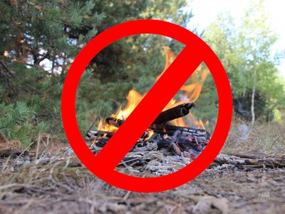 Высокая пожароопасность сохранится в нижегородских лесах до 9 сентября
