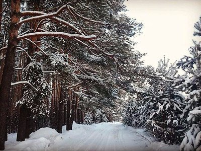 Январь продолжает бить рекорды