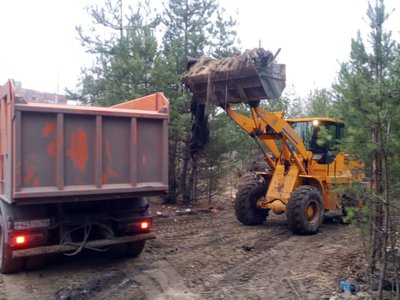 Почти 83 тысячи кубометров отходов вывезли за полтора года в Нижегородской области с несанкционированных свалок