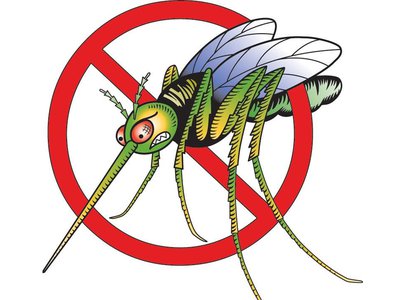 Природные средства против комаров