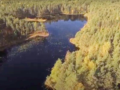 Клирик Выксунской епархии снял ролик о природе нашего края