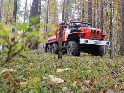 Ограничения на посещение лесов в Нижегородской области сохранятся до 19 октября