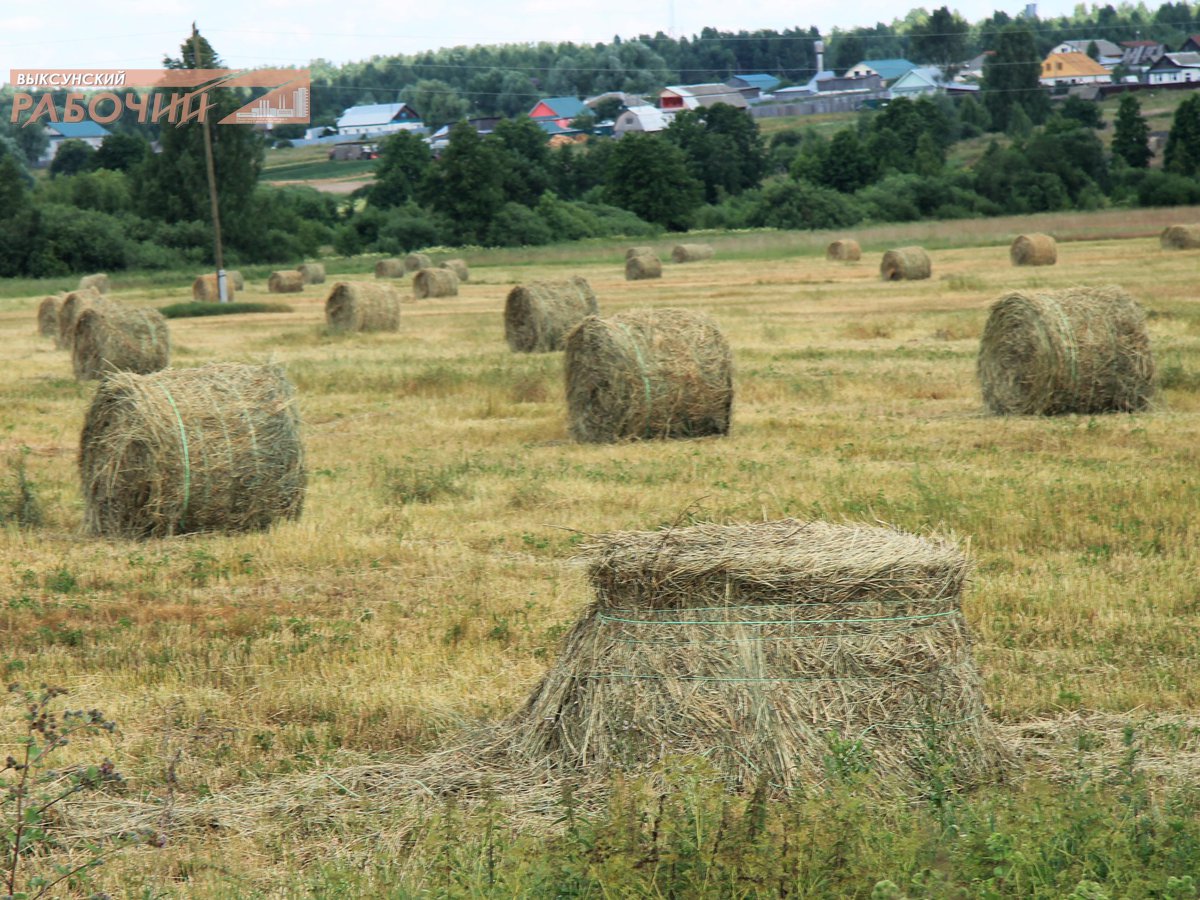 Полдеревка Нижегородская