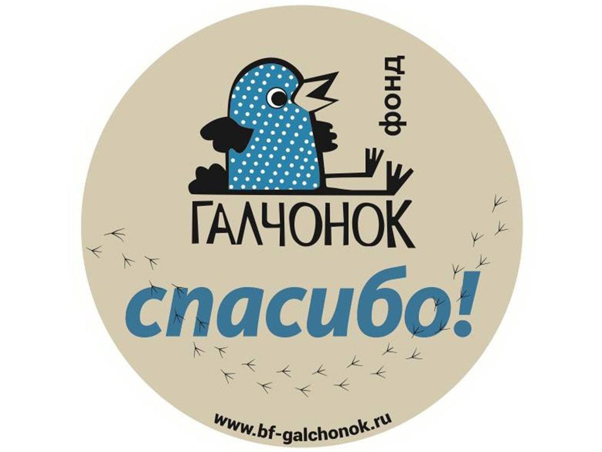 Галчонок картинка