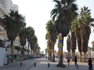 Тель-Авив – земля возрождения