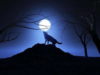 Охотникам увеличат вознаграждение за добычу волков