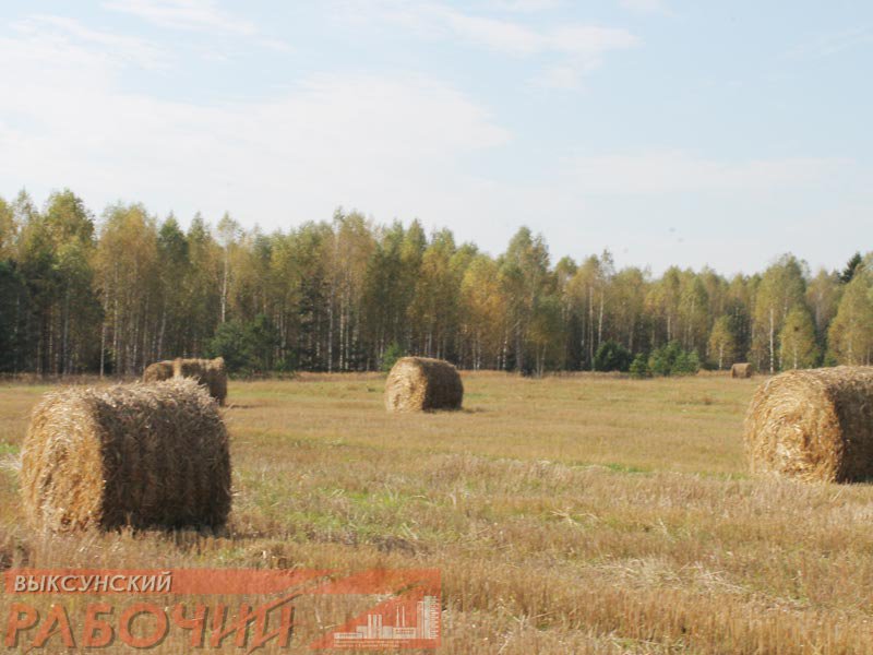 В сентябре был собран рекордный урожай. В 2016 Г В России был собран рекордный урожай.