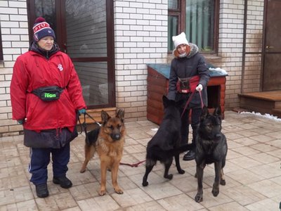 Служебные собаки из Нижнего Новгорода отправятся в зону СВО