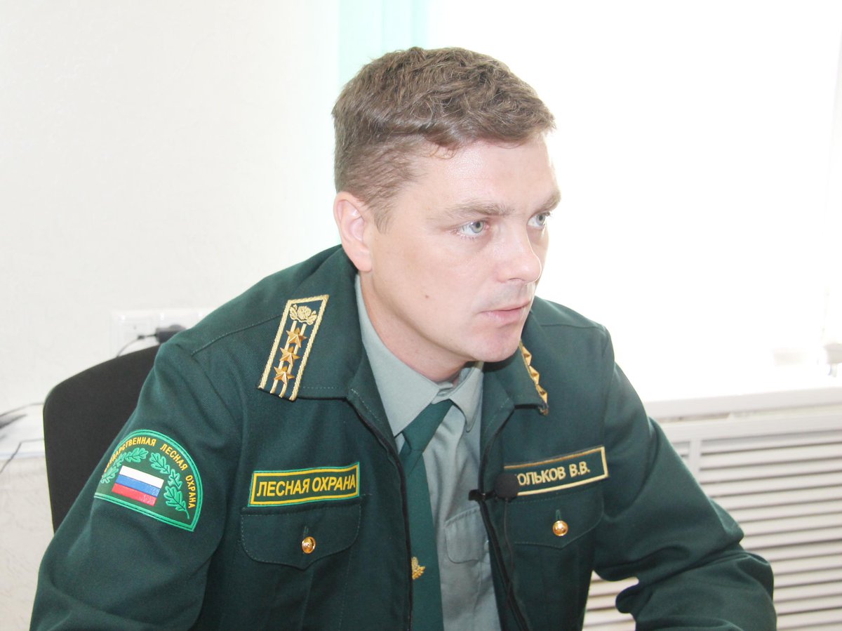 Владимир Мольков