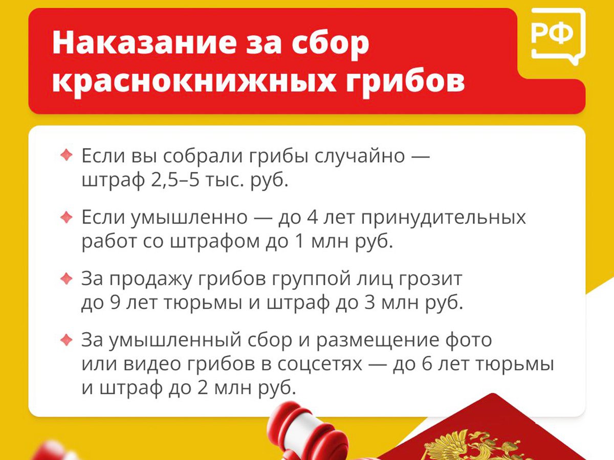 8-Штрафы-за-сбор.jpg