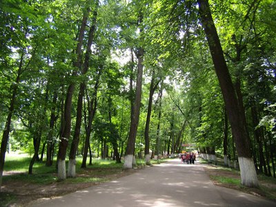 В Выксунском парке 27 мая состоится праздничная программа, посвящённая Международному дню парков