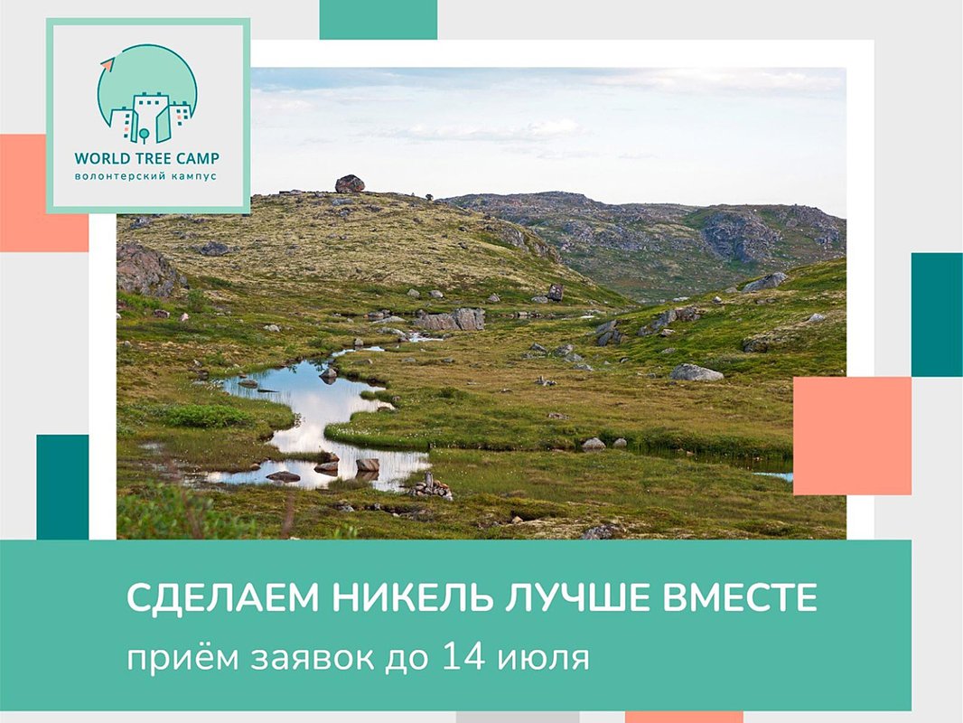 Волонтёрский корпус World Tree Camp в г. Никель