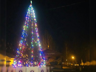 Верхневерейский ДТ зажёг огоньки на новогодней ёлке