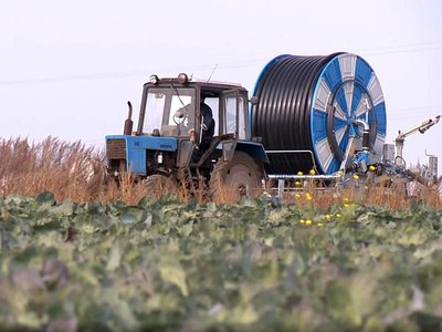 Глеб Никитин: «В 2021 году рассчитываем привлечь на развитие фермерства в рамках нацпроекта в два раза больше федеральных субсидий»