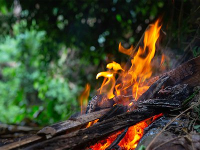 Менее, чем за неделю в лесах округа произошло ещё три пожара