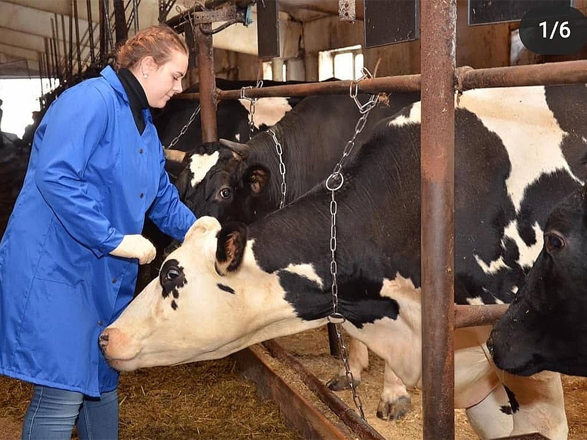 Нижегородская область входит в тройку лидеров в ПФО по выпуску «честной» молочной продукции