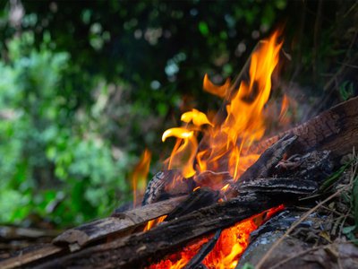Обстановка с лесными пожарами в области продолжает ухудшаться