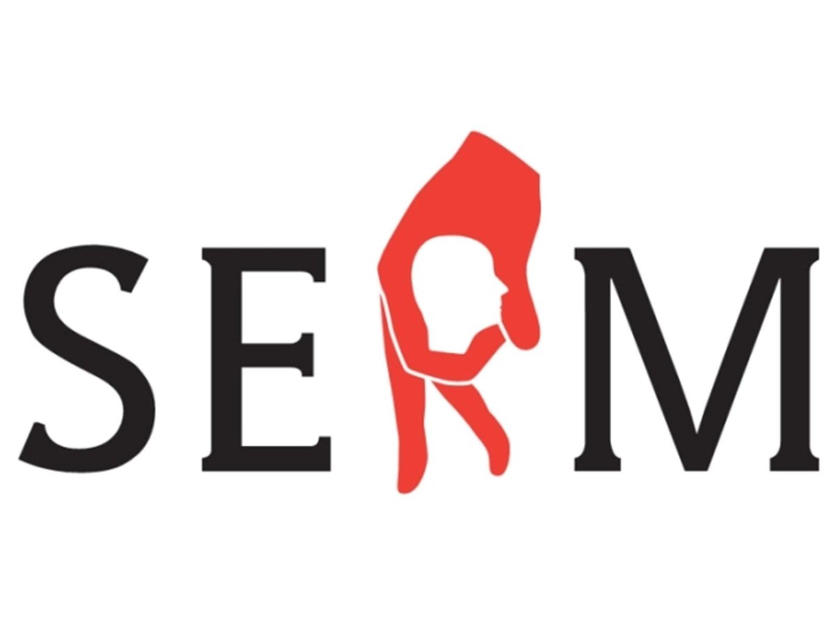 Управление репутацией в поисковых системах (SERM)
