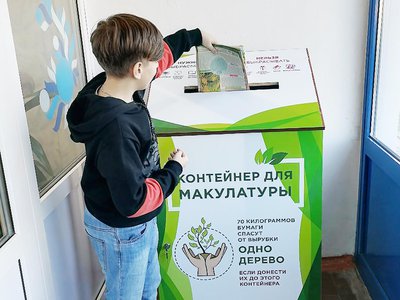 Проект «Бумаги.Net» помог спасти шесть деревьев