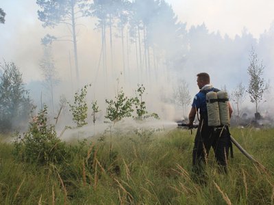 На землях лесного фонда с 20 октября завершается пожароопасный сезон