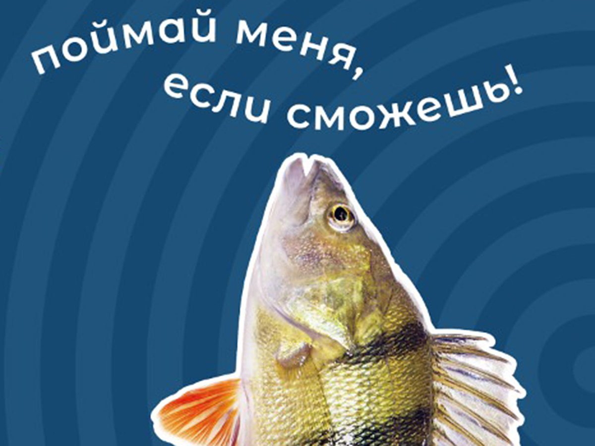 Фестиваль подлёдного лова «Чкаловская рыбалка» пройдёт уже завтра, 26 февраля