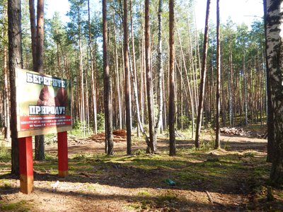 В Нижегородской области установлен пожароопасный режим 1 и 2 классов