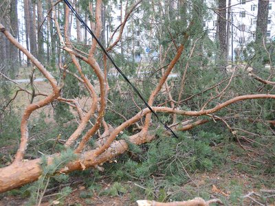 Последствия урагана в Выксе 30 ноября - 1 декабря (2021 г.)