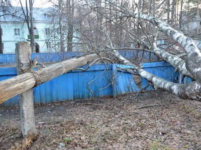 Последствия урагана в Выксе 30 ноября - 1 декабря (2021 г.)