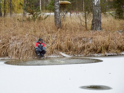 Сотрудники парка попытались вывести лебедей на берег (Выкса, 2021 г.)