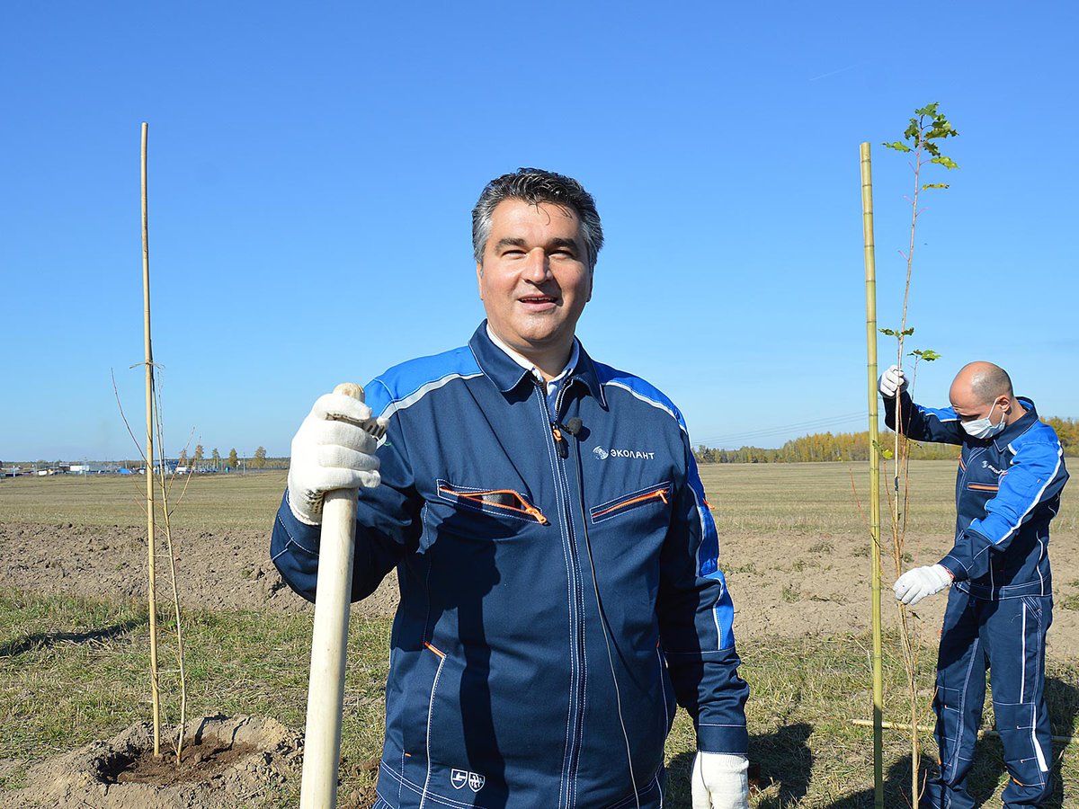 Более двух тысяч деревьев и кустарников высадят у Мотмоса