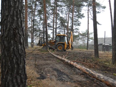 В лесопосадке убирают аварийные деревья (Выкса, 2019 г.)