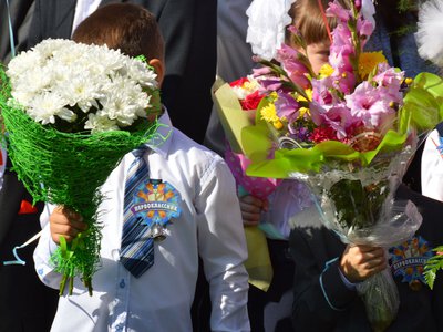 Приём заявлений на зачисление в первый класс в Нижегородской области начнётся 1 апреля 2022 года