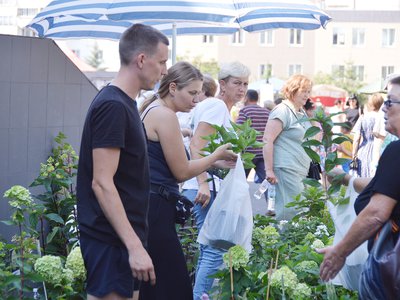 Выставка "Дары природы" 2024