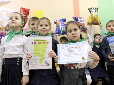 Ученики начальных классов школы №12 собрали более 350 кг корма для животных (Выкса, 2020 г.)